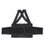 Back Support Belt